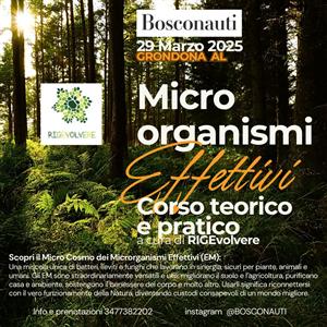 Microrganismi effettivi: corso teorico e pratico