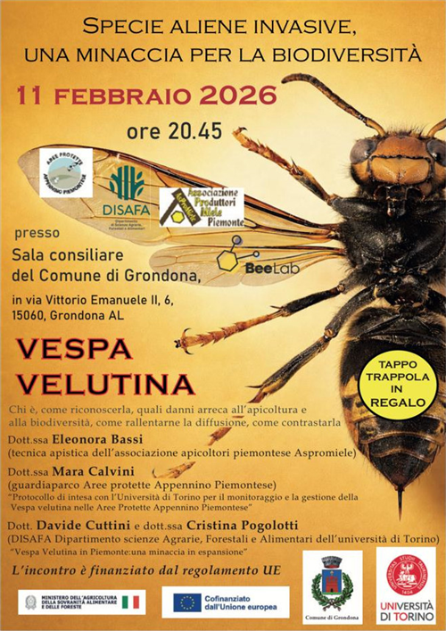 Specie aliene invasive, una minaccia per la biodiversità